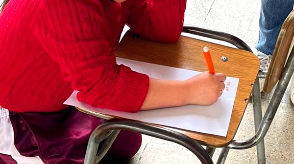 Apoyo personalizado del Programa de Integración